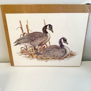 Geese artwork limited edition, wildlife art print featuring two Canada geese.